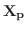 $\displaystyle {\bf X_{p}}$