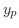 $y_{p}$
