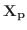 $\displaystyle {\bf X_{p}}$