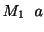 $ M_{1}，a$