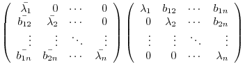 $\displaystyle \left(\begin{array}{rrrr}
\bar{\lambda_{1}}&0&\cdots&0\\
\bar{b_...
...2n}\\
\vdots&\vdots&\ddots&\vdots\\
0&0&\cdots&\lambda_{n}
\end{array}\right)$