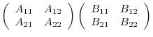 $\displaystyle \left(\begin{array}{cc}
A_{11} & A_{12}\\
A_{21} & A_{22}
\end{a...
...t)\left(\begin{array}{cc}
B_{11} & B_{12}\\
B_{21} & B_{22}
\end{array}\right)$