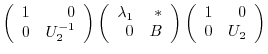 $\displaystyle \left(\begin{array}{rr}
1&0\\
0&U_{2}^{-1}
\end{array}\right)\le...
...0&B
\end{array}\right)\left(\begin{array}{rr}
1&0\\
0&U_{2}
\end{array}\right)$