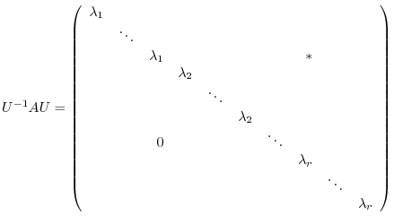 $\displaystyle U^{-1}AU = \left(\begin{array}{rrrrrrrrrr}
\lambda_{1}&&&&&&&&&\\...
...&&&\lambda_{r}&&\\
&&&&&&&&\ddots&\\
&&&&&&&&&\lambda_{r}
\end{array}\right)
$