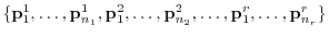 $\displaystyle \{{\bf p}_{1}^{1},\ldots,{\bf p}_{n_{1}}^{1},{\bf p}_{1}^{2},\ldots,{\bf p}_{n_{2}}^{2},\ldots,{\bf p}_{1}^{r},\ldots,{\bf p}_{n_{r}}^{r}\} $