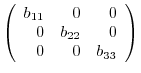 $\displaystyle \left(\begin{array}{rrr}
b_{11}&0&0\\
0&b_{22}&0\\
0&0&b_{33}
\end{array}\right ) $