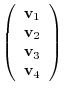 $\displaystyle \left(\begin{array}{r}
{\bf v}_{1}\\
{\bf v}_{2}\\
{\bf v}_{3}\\
{\bf v}_{4}
\end{array}\right)$