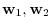 ${\bf w}_{1}, {\bf w}_{2}$