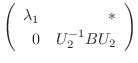 $\displaystyle \left(\begin{array}{rr}
\lambda_{1}&*\\
0&U_{2}^{-1}BU_{2}
\end{array}\right)$
