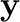 $\displaystyle {\mathbf y}$