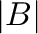 $\vert{\bf B}\vert$