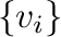 $\{{\bf v}_{i}\}$