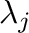 $\lambda_{j}$