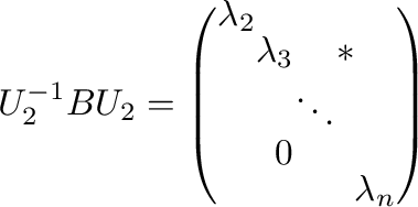 $\displaystyle U_{2}^{-1}BU_{2} = \left(\begin{array}{rrrrr}
\lambda_{2}&&&&\\
&\lambda_{3}&&*&\\
&&\ddots&&\\
&0&&&\\
&&&&\lambda_{n}
\end{array}\right) $