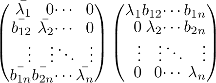 $\displaystyle \left(\begin{array}{rrrr}
\bar{\lambda_{1}}&0&\cdots&0\\
\bar{b_...
...2n}\\
\vdots&\vdots&\ddots&\vdots\\
0&0&\cdots&\lambda_{n}
\end{array}\right)$