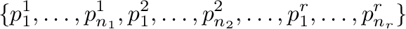 $\displaystyle \{{\bf p}_{1}^{1},\ldots,{\bf p}_{n_{1}}^{1},{\bf p}_{1}^{2},\ldots,{\bf p}_{n_{2}}^{2},\ldots,{\bf p}_{1}^{r},\ldots,{\bf p}_{n_{r}}^{r}\} $