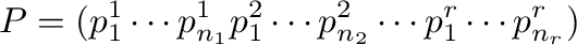 $\displaystyle P = ({\bf p}_{1}^{1} \cdots {\bf p}_{n_{1}}^{1} {\bf p}_{1}^{2} \cdots {\bf p}_{n_{2}}^{2} \cdots {\bf p}_{1}^{r} \cdots {\bf p}_{n_{r}}^{r}) $