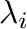 $\lambda_{i}$