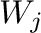$W_{j}$