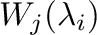 $\displaystyle W_{j}(\lambda_{i})$