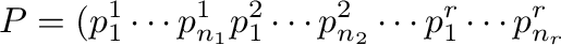 $\displaystyle P = ({\bf p}_{1}^{1} \cdots {\bf p}_{n_{1}}^{1} {\bf p}_{1}^{2} \cdots {\bf p}_{n_{2}}^{2} \cdots {\bf p}_{1}^{r} \cdots {\bf p}_{n_{r}}^{r} $