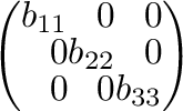 $\displaystyle \left(\begin{array}{rrr}
b_{11}&0&0\\
0&b_{22}&0\\
0&0&b_{33}
\end{array}\right ) $