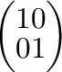 $\displaystyle \left(\begin{array}{rr}
1&0\\
0&1
\end{array}\right )$
