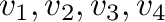 ${\bf v}_{1}, {\bf v}_{2},{\bf v}_{3},{\bf v}_{4}$