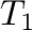 $T_{1}$