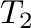 $T_{2}$