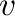 ${\bf v}$