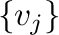 $\{{\bf v}_{j}\}$