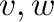 ${\bf v},{\bf w}$