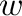 $\displaystyle {\bf w}$