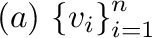 $(a)\ {\{{\bf v}_{i}\}}_{i=1}^{n}$