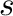 ${\bf s}$
