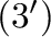 $(3^{\prime})$