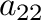$a_{22}$