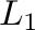 $L_{1}$
