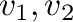 ${\bf v}_{1}, {\bf v}_{2}$