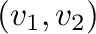 $({\bf v}_{1}, {\bf v}_{2})$
