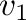 ${\bf v}_{1}$