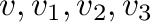${\bf v}, {\bf v}_{1},{\bf v}_{2},{\bf v}_{3}$