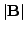 $ \vert{\bf B}\vert$