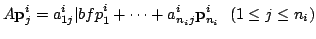 $\displaystyle A{\bf p}_{j}^{i} = a_{1j}^{i}{\vert bf p}_{1}^{i} + \cdots + a_{n_{i}j}^{i}{\bf p}_{n_{i}}^{i}   (1 \leq j \leq n_{i}) $
