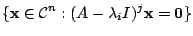 $\displaystyle \{{\mathbf x} \in {\mathcal C}^{n} : (A - \lambda_{i}I)^{j} {\mathbf x} = {\bf0}\}$