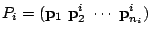 $\displaystyle P_{i} = ({\bf p}_{1}  {\bf p}_{2}^{i}  \cdots  {\bf p}_{n_{i}}^{i}) $