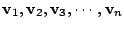 $ {\bf v}_{1}, {\bf v}_{2}, {\bf v}_{3},\cdots , {\bf v}_{n}$