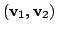 $ ({\bf v}_{1}, {\bf v}_{2})$