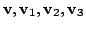 $ {\bf v}, {\bf v}_{1},{\bf v}_{2},{\bf v}_{3}$